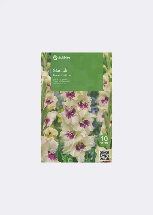 A photo of Gladioli Amber Mistique Pack of 9
