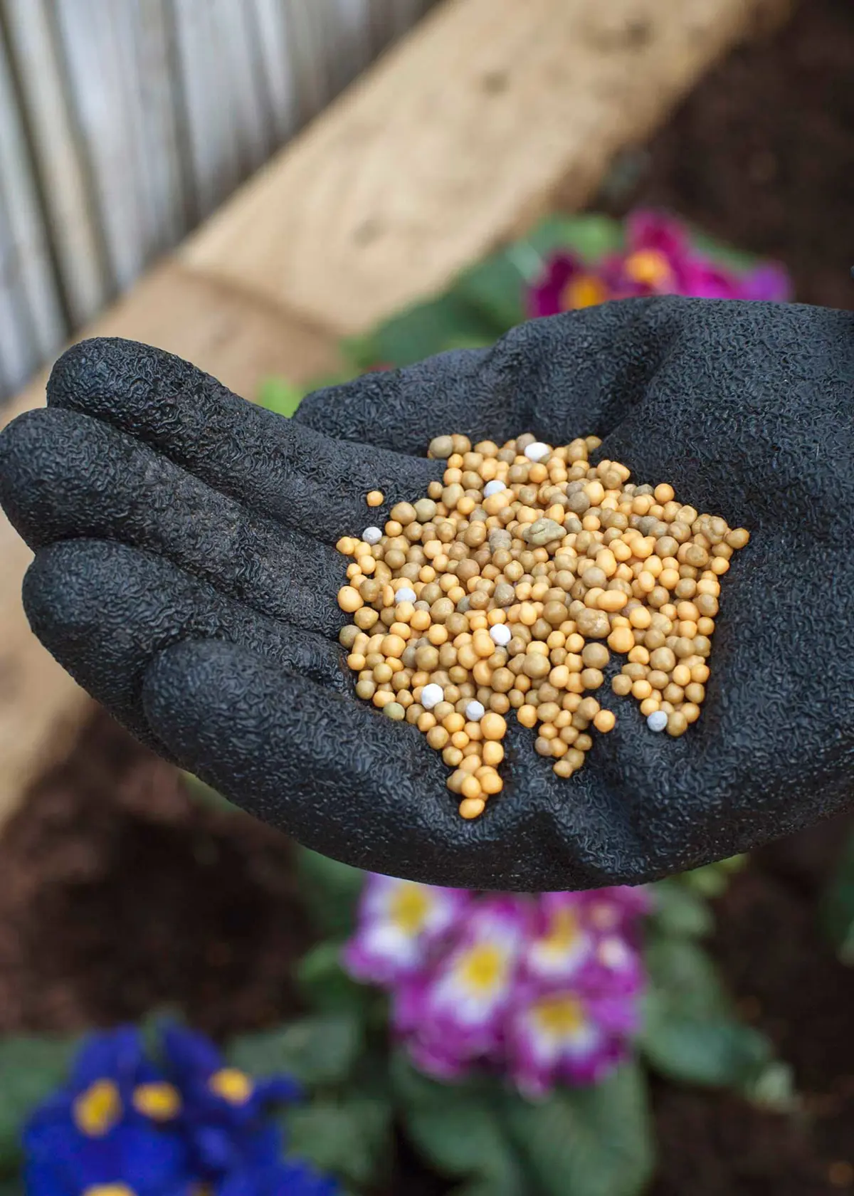 A photo of Miracle-Gro All Purpose Slow Release Plant Food 900g