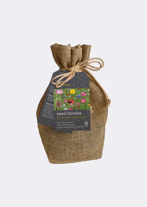 Dobbies Pollinator Seed Bombs In Jute Sack