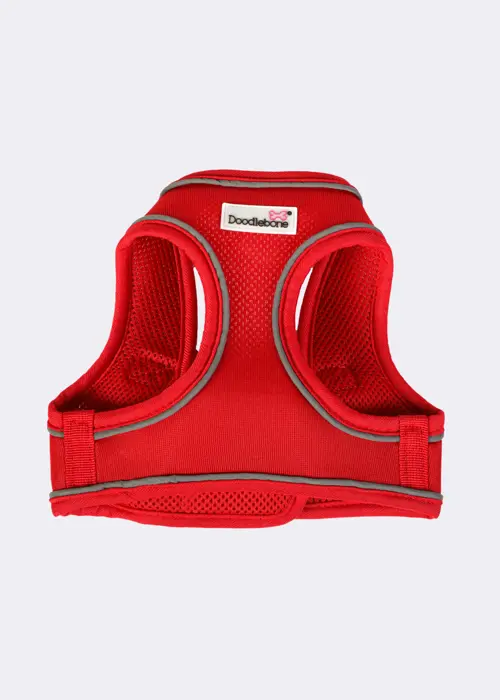 Doodlebone Originals Snappy Harness Ruby 1