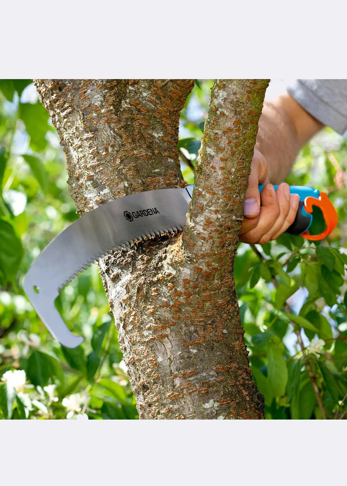 A photo of Combisystem Garden Saw Curved