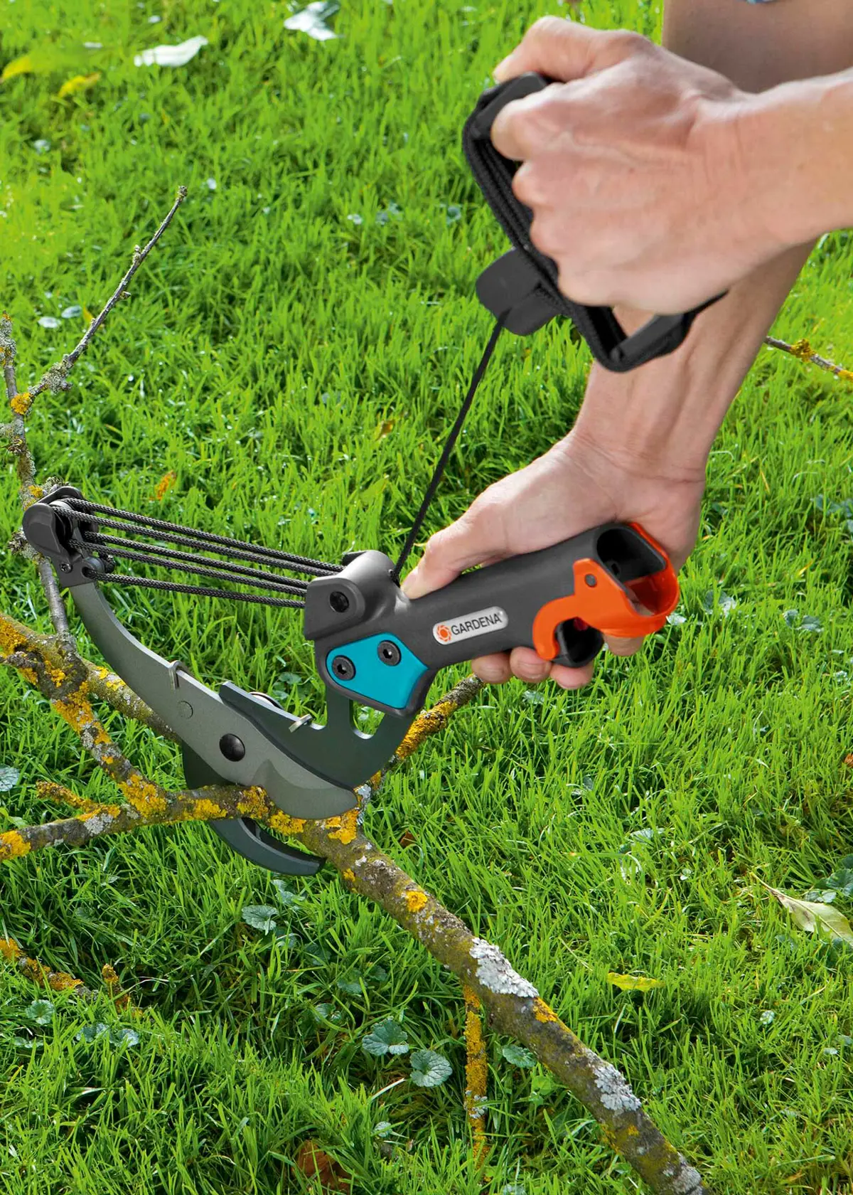 A photo of Combisystem Anvil Branch Pruner