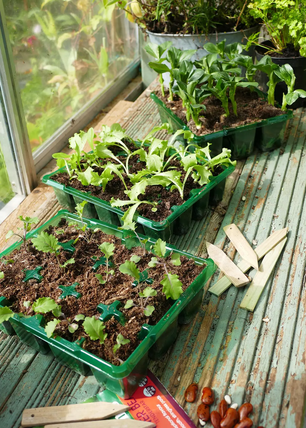 A photo of Gro-Sure Visiroot Seed Tray 4pk
