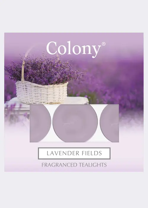 Lavender Fields Tealights Pack of 9