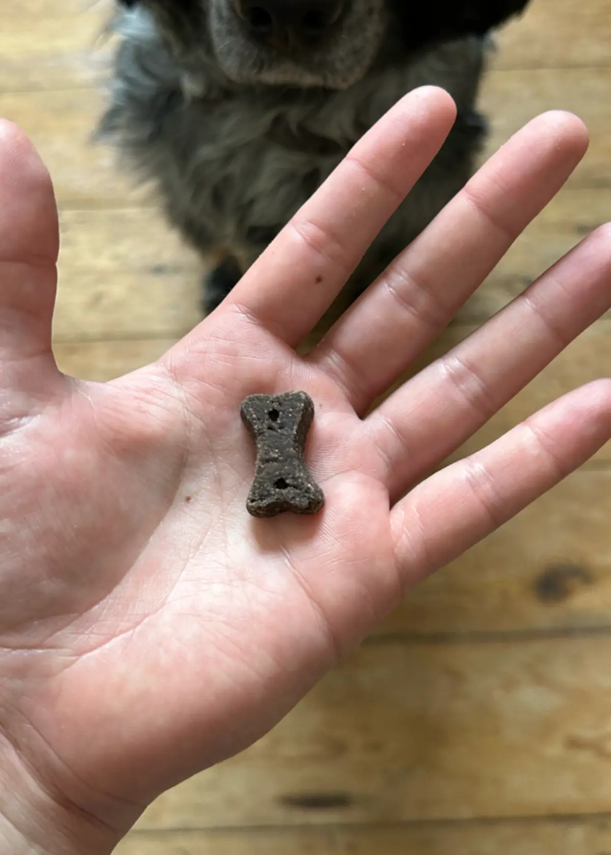 A photo of Beco Carob Chocolate Dog Treats 70g