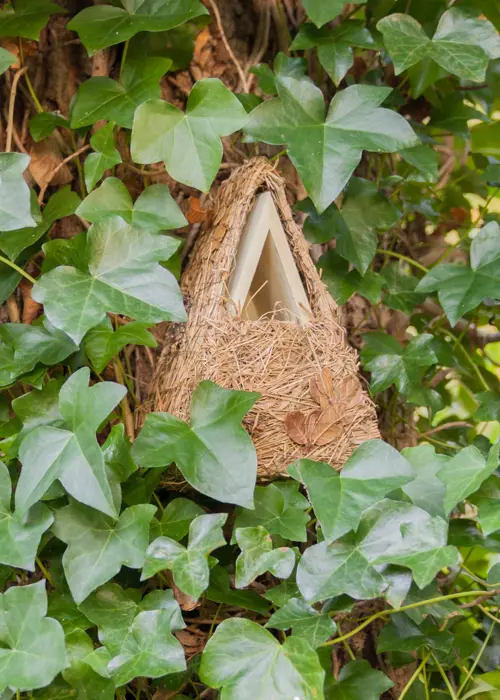 A photo of Rattan Camouflage Wren Nesting Box