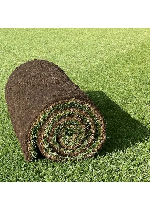 Premium Lawn Turf 20sqm