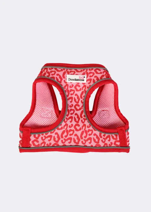 Doodlebone Snappy Harness Ruby Leopard 5