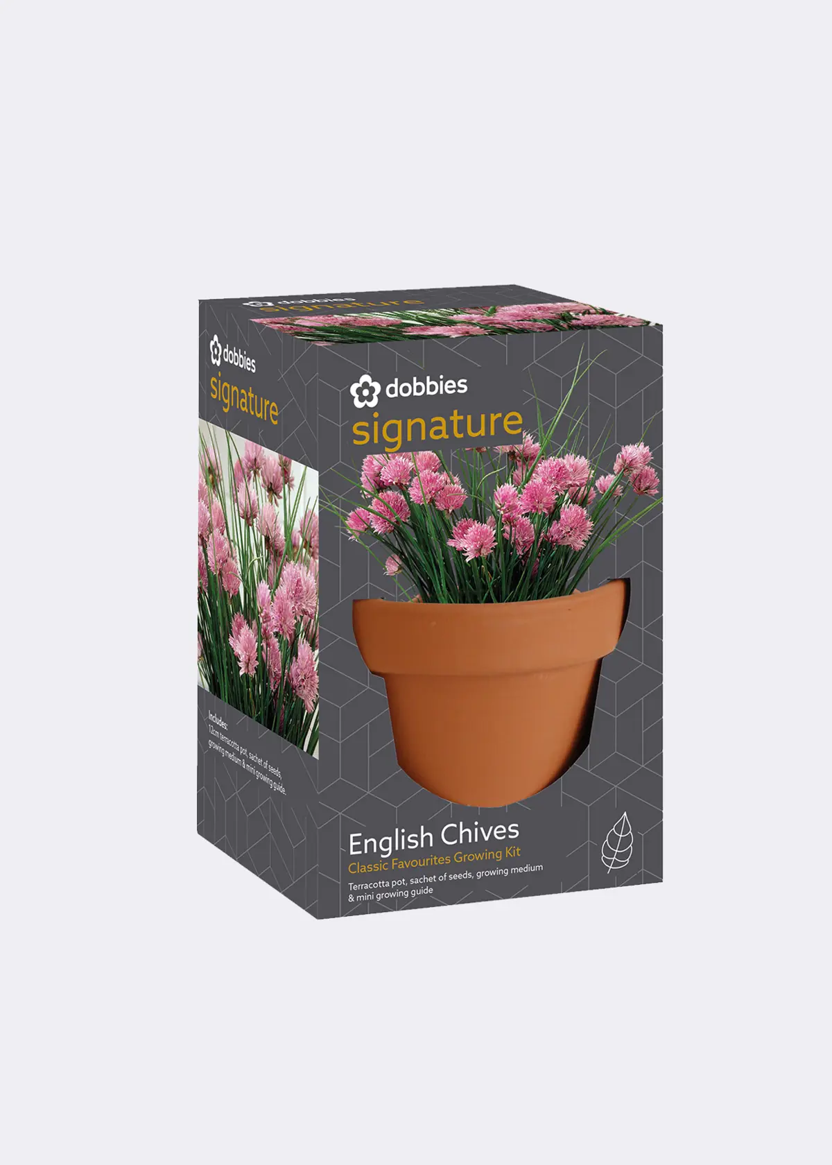 A photo of Dobbies Classic Favourite English Chives