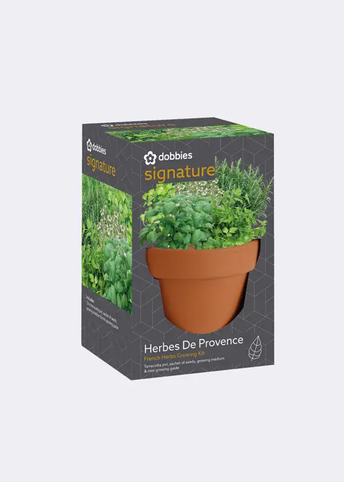 Dobbies Herbes De Provence French Herbs