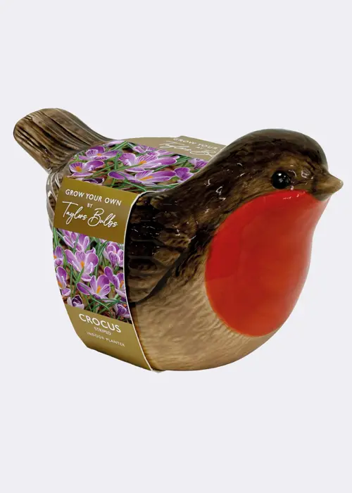 A photo of Robin Planter