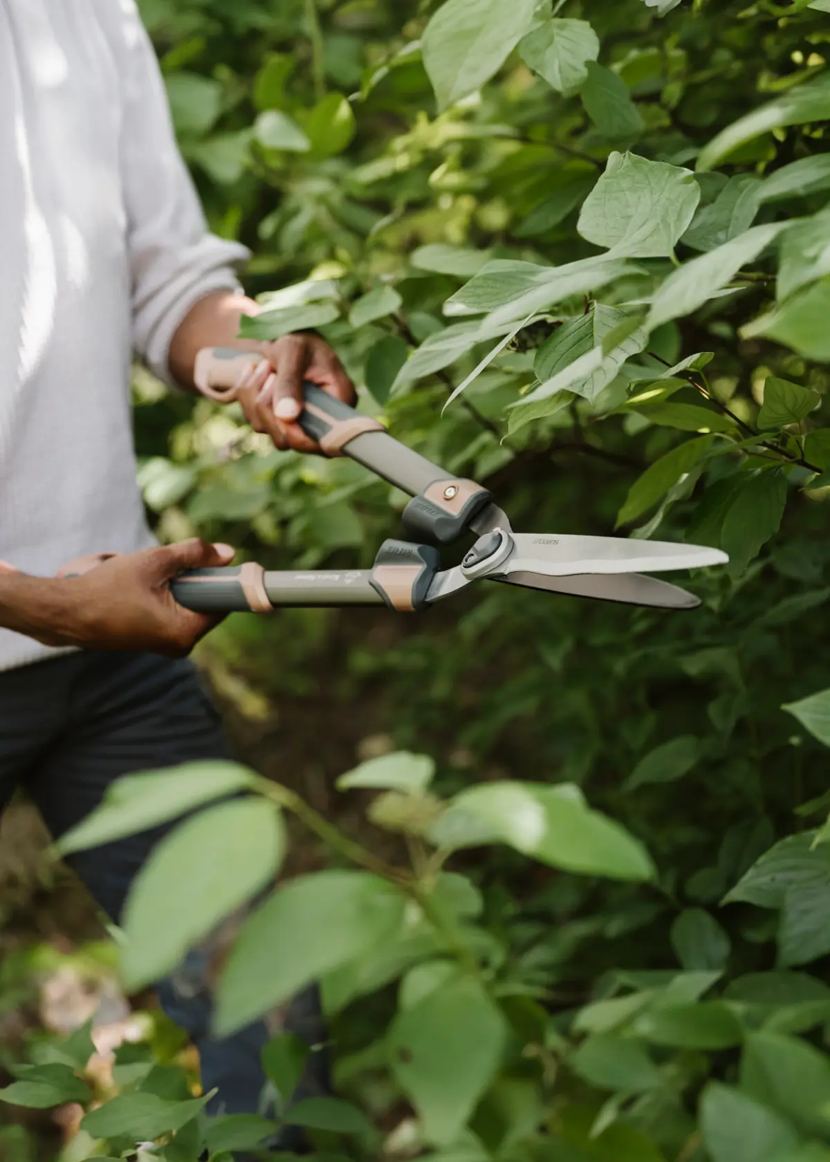 A photo of Kent & Stowe Surecut Hedge Shears