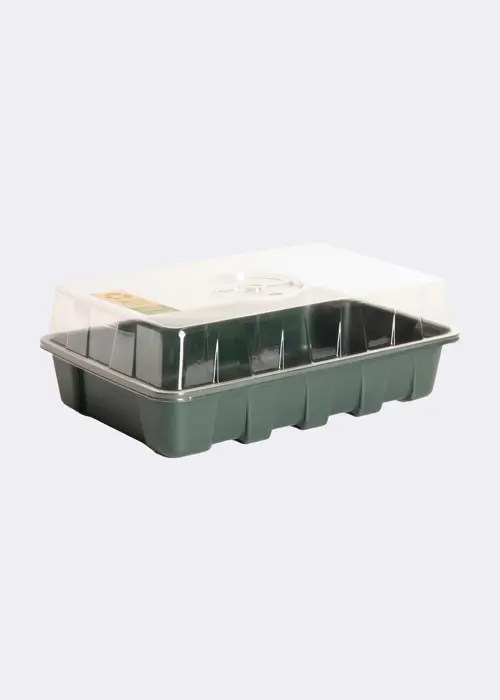 Large Propagator