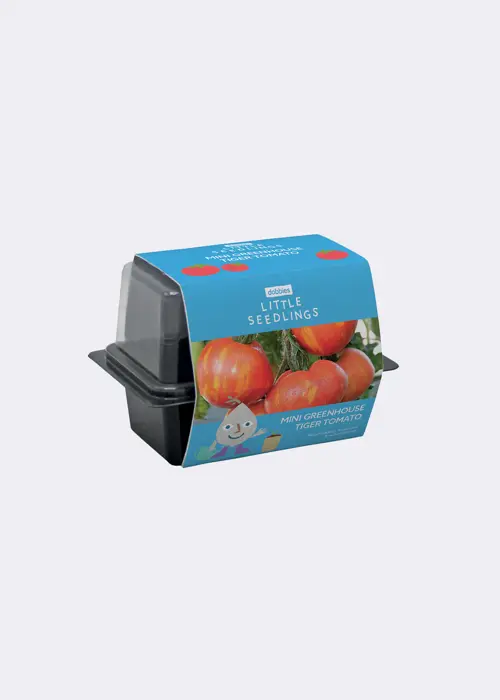 A photo of Little Seedlings GYO Tiger Tomatoes Mini Greenhouse