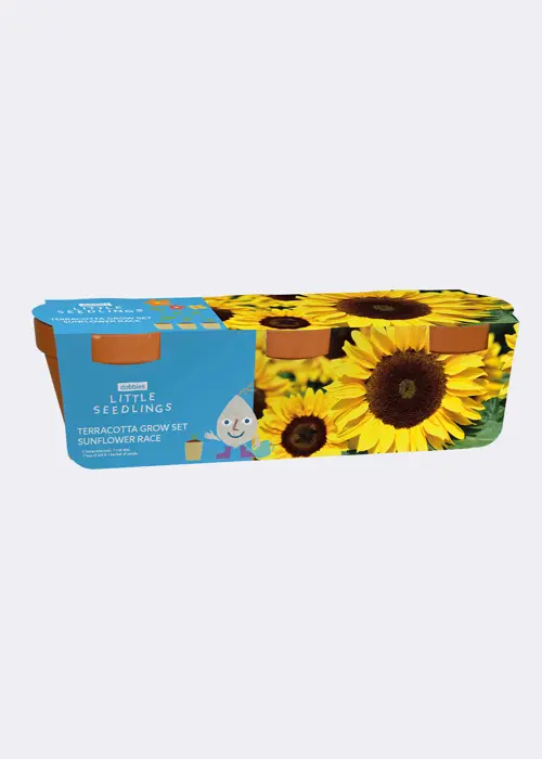 A photo of Little Seedlings Terracotta Sunflower Growing Kit