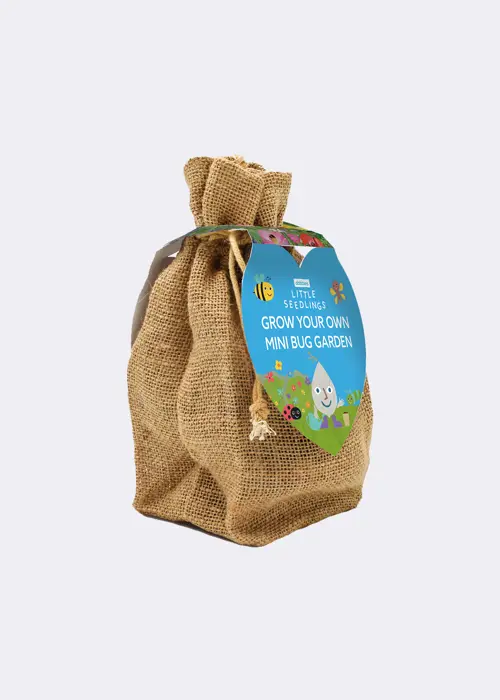 A photo of Little Seedlings GYO Mini Bug Garden Kit