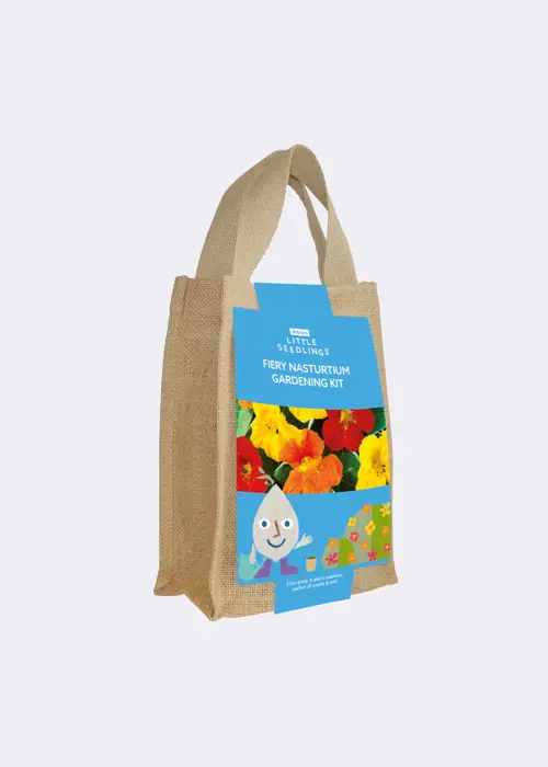 A photo of Little Seedlings GYO Fiery Nasturtiums Kit
