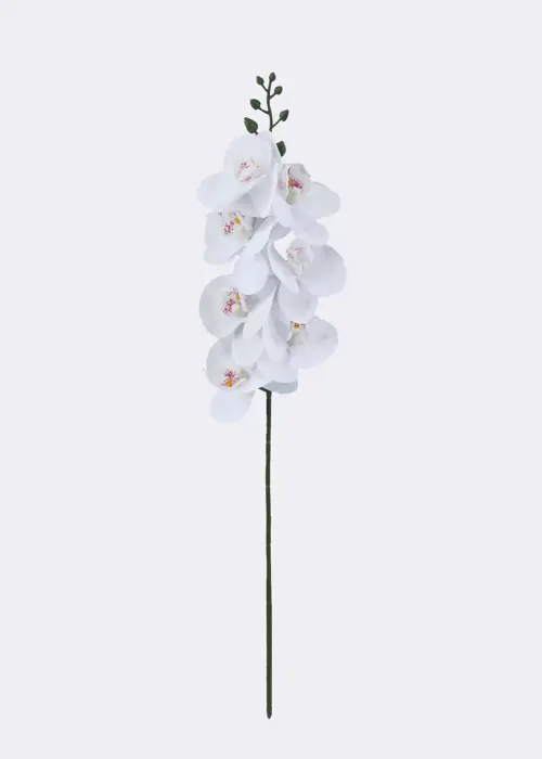 A photo of Faux Orchid Stem 70cm