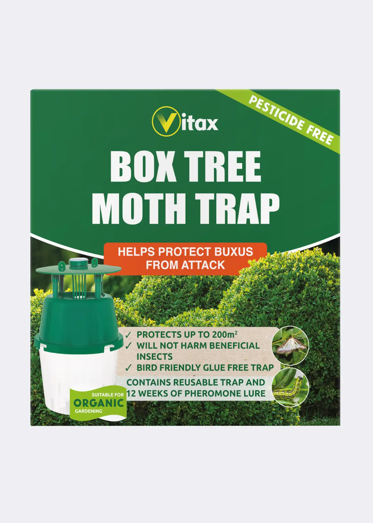 A photo of Box Tree Moth Trap