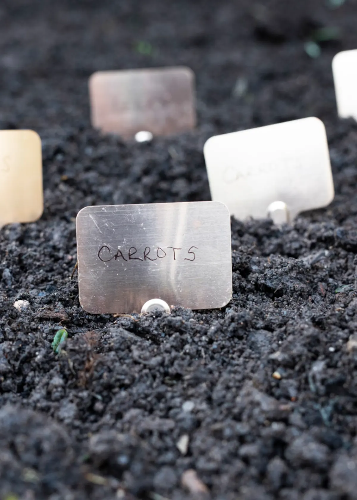 Pack of 10 Copper T Plant Labels