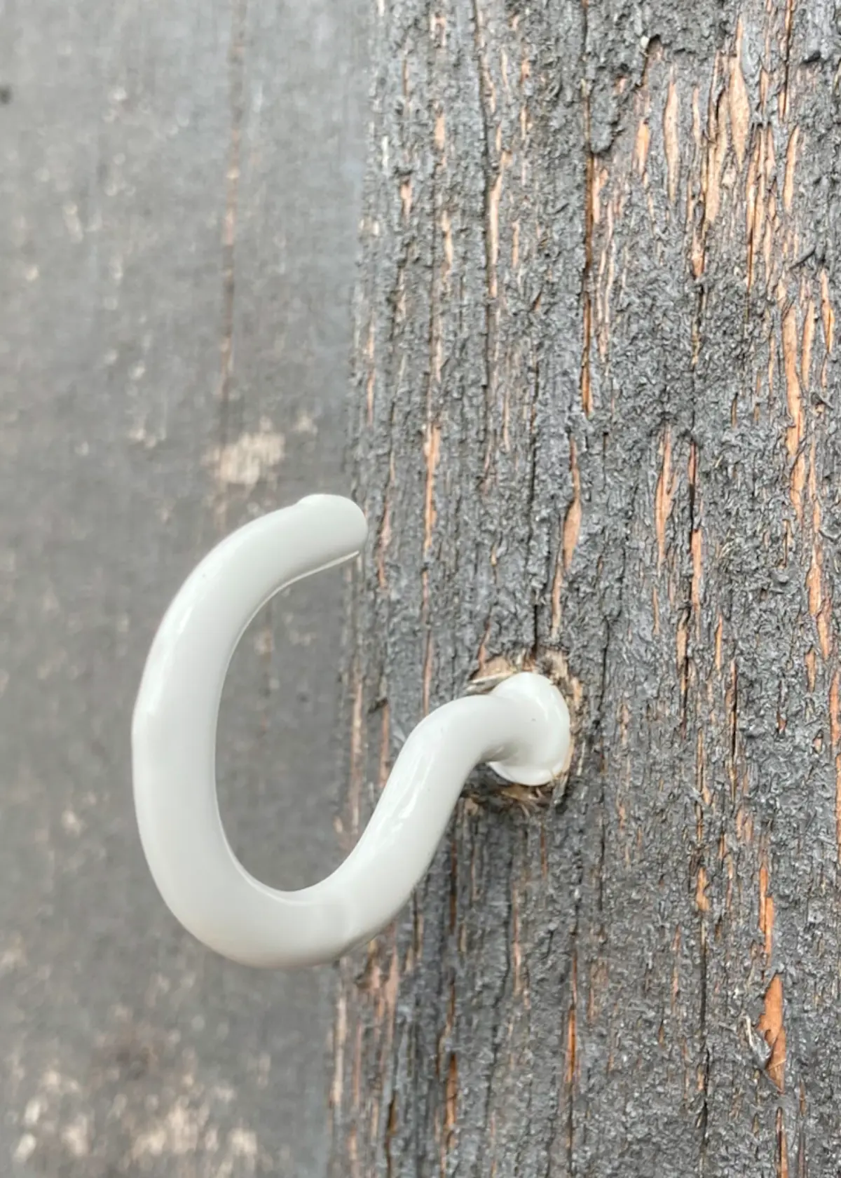 A photo of Pack of 8 White Plastic Coated Cup Hook 40mm