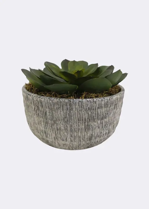 Faux Large Succulent in Grey Pot