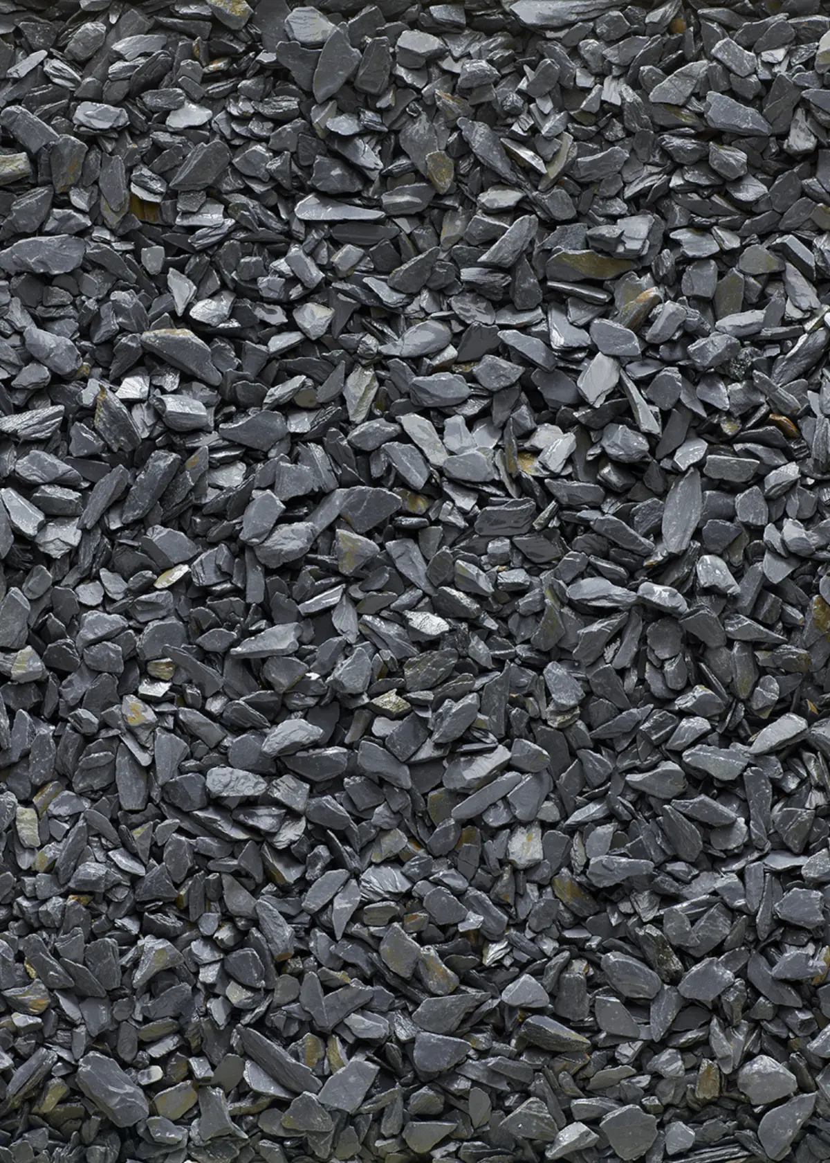 A photo of Blue Slate 20mm Chippings Bulk Bag