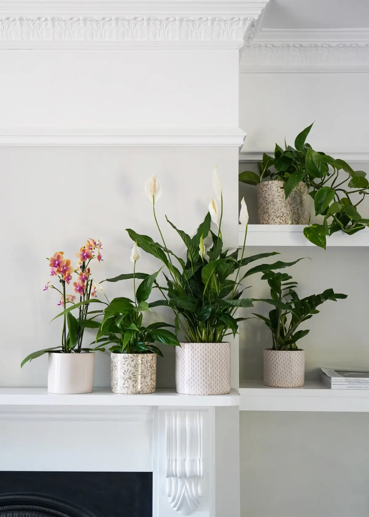 A photo of Lazzaro Sage Foliage Pot 18cm