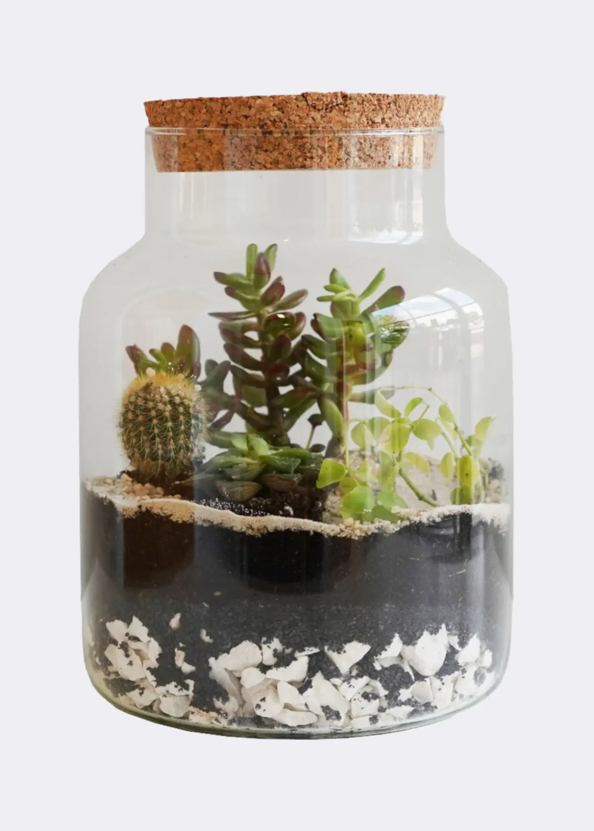 A photo of Bottle Shape Medium Terrarium Diy Kit 14cm
