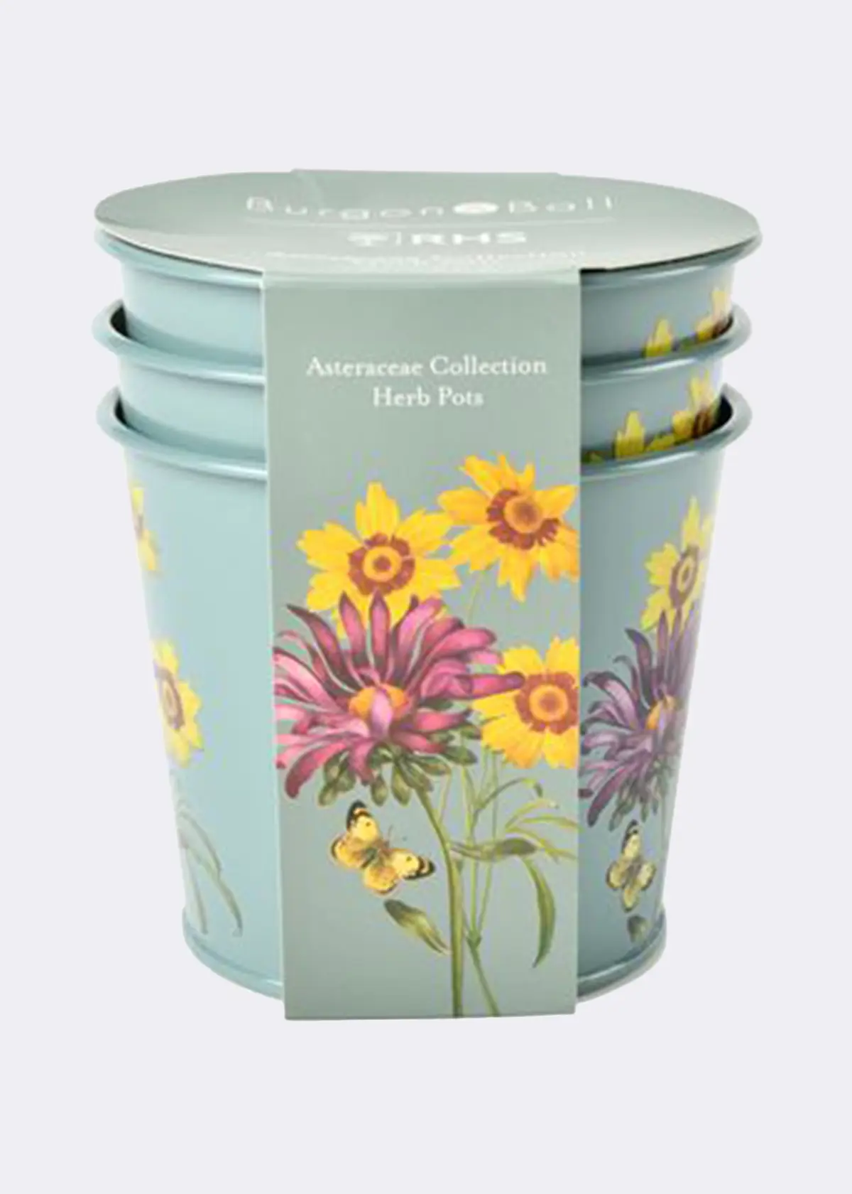 A photo of RHS Asteraceae Herb Pots Gift Set