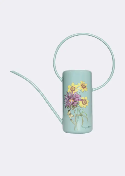 RHS Asteraceae Indoor Watering Can