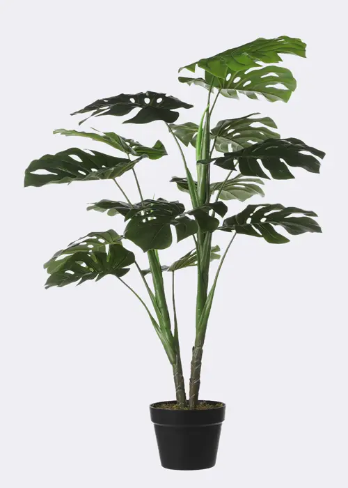 A photo of Faux Monstera in Pot