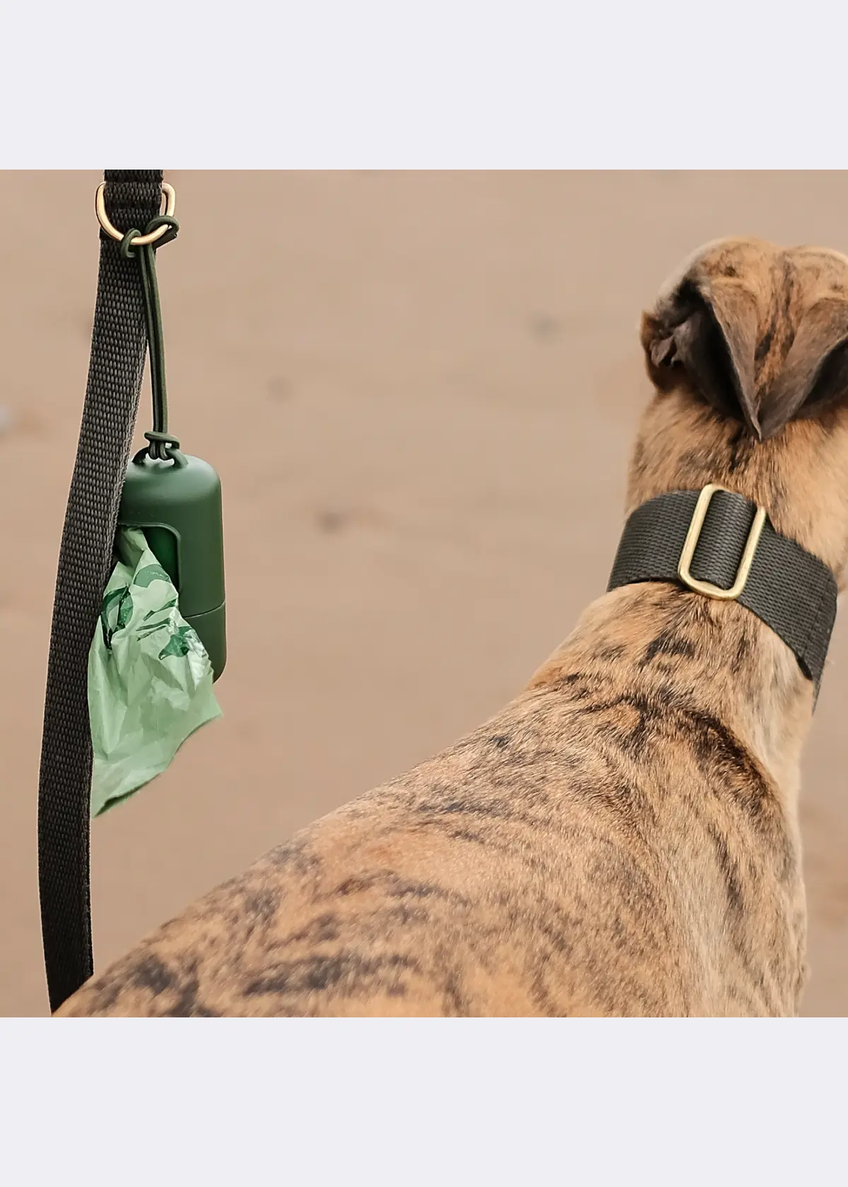 A photo of Beco Poop Bag Dispenser With 15 Bags
