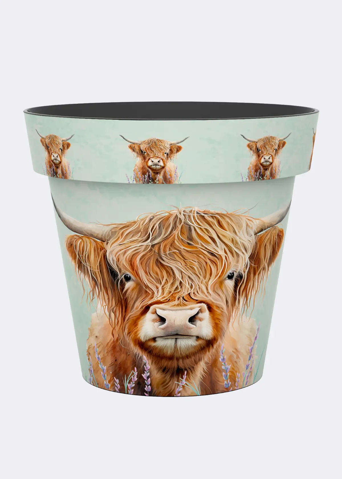 Highland Cow Zest Pot 22cm