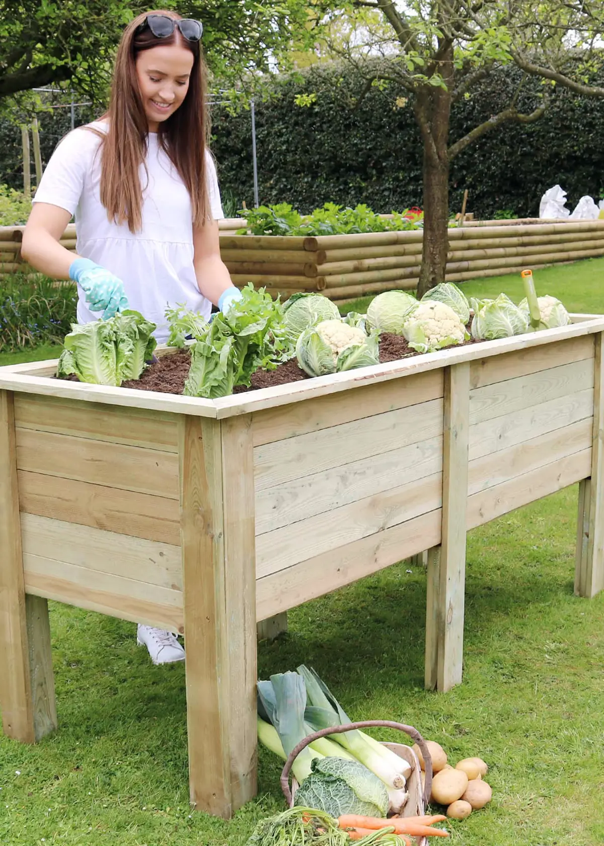 A photo of Deep Root Planter 1.8M