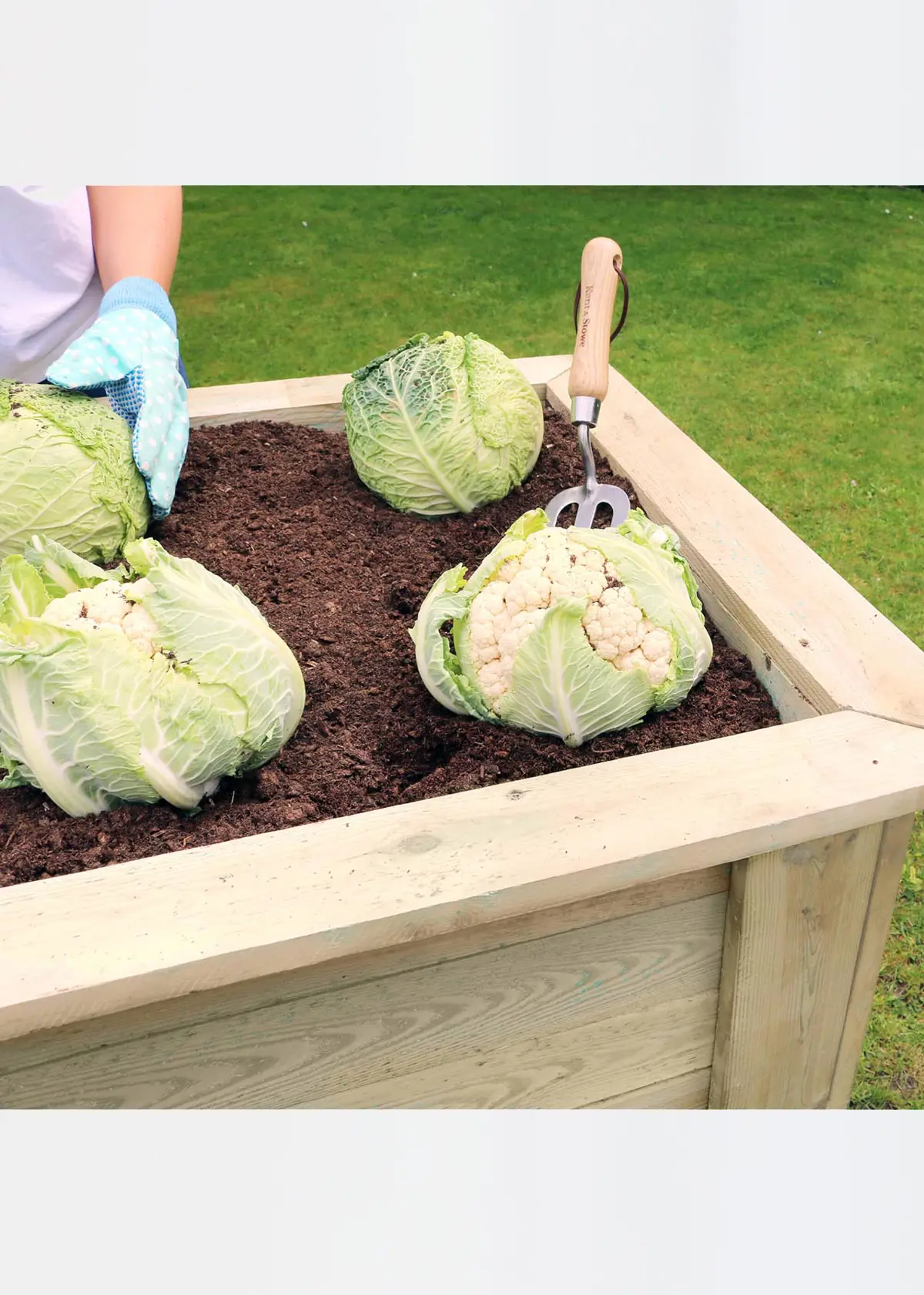 A photo of Deep Root Planter 1.8M