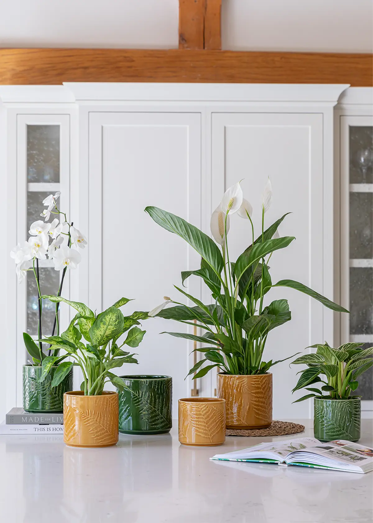 A photo of Orla Glazed Fern Mustard Pot 13.5cm