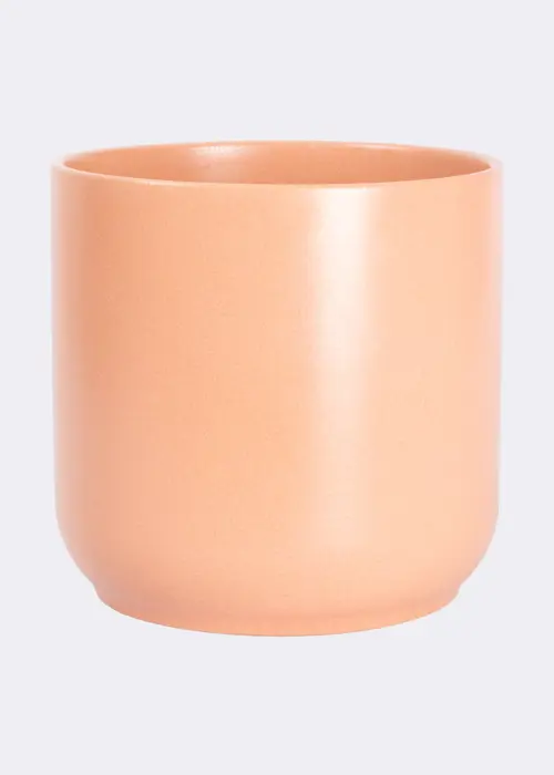 A photo of Melville Pot Apricot 15cm