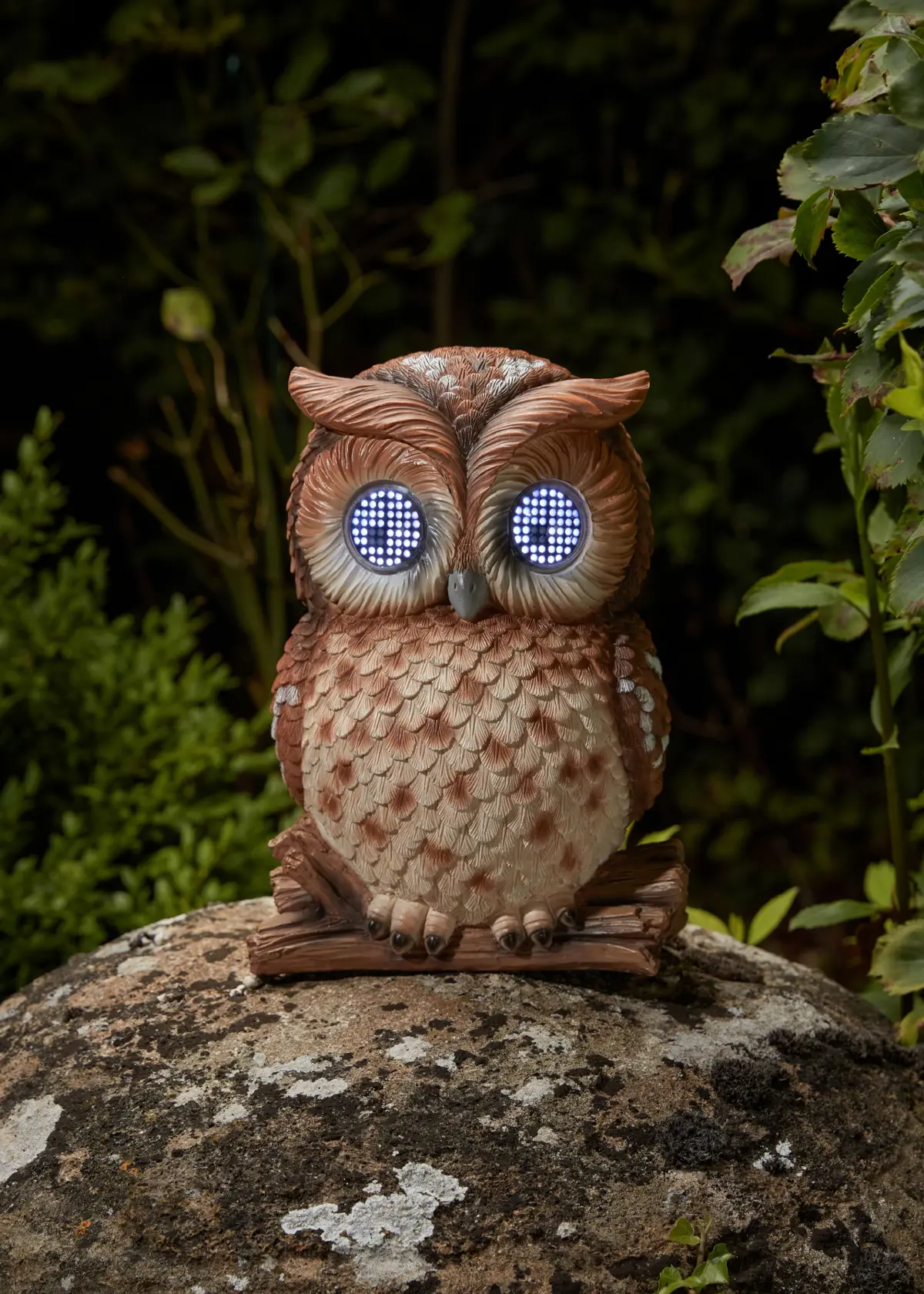 A photo of Blinkin' Owl