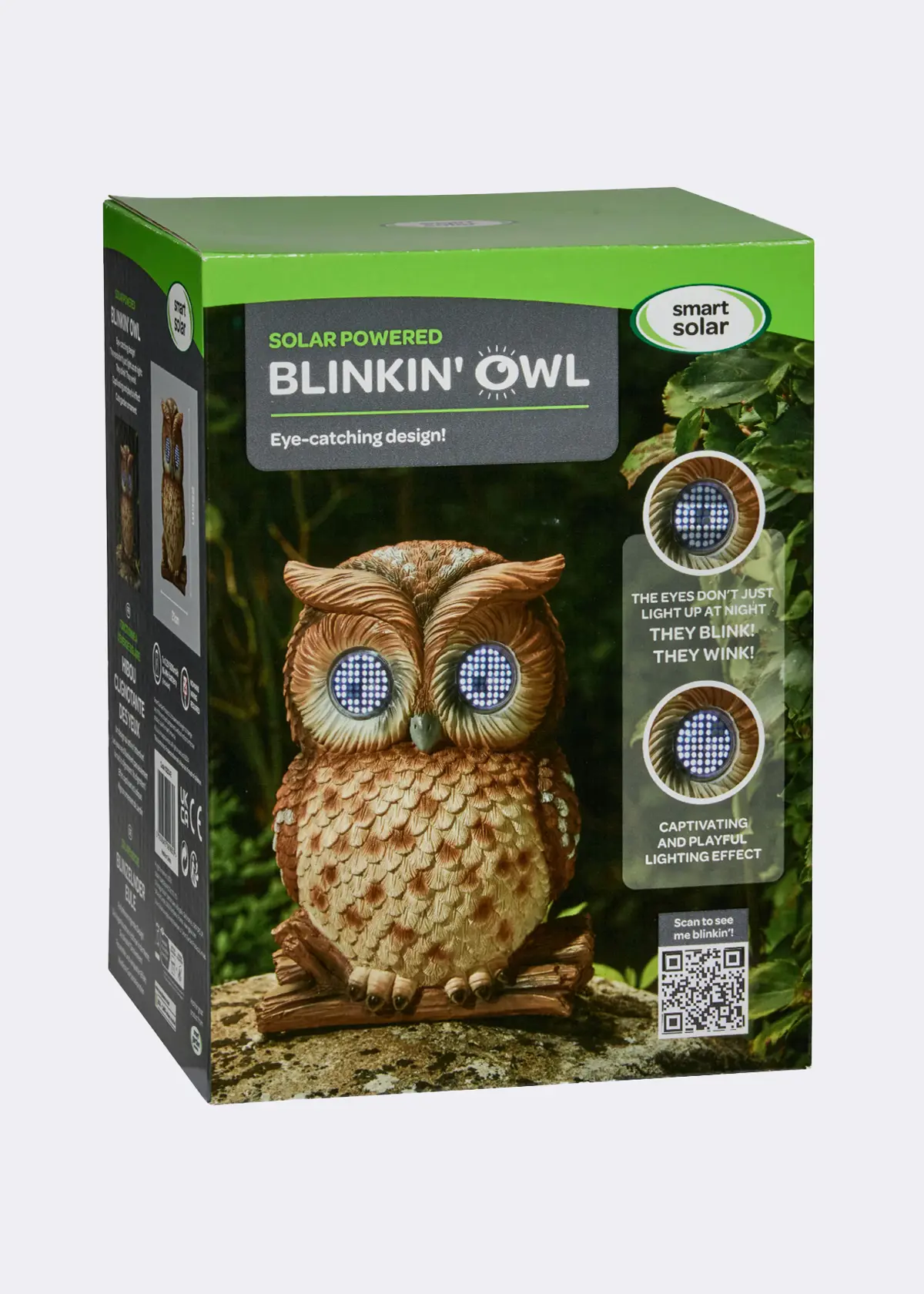 A photo of Blinkin' Owl