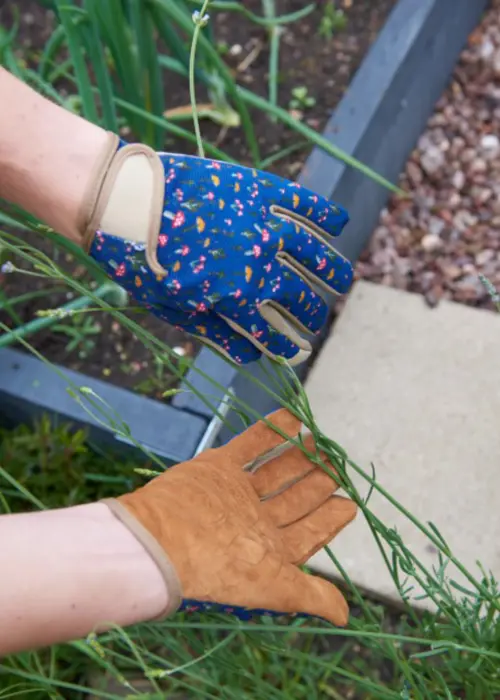 A photo of Smart Gardeners Gardening Gloves Medium Mushrooms