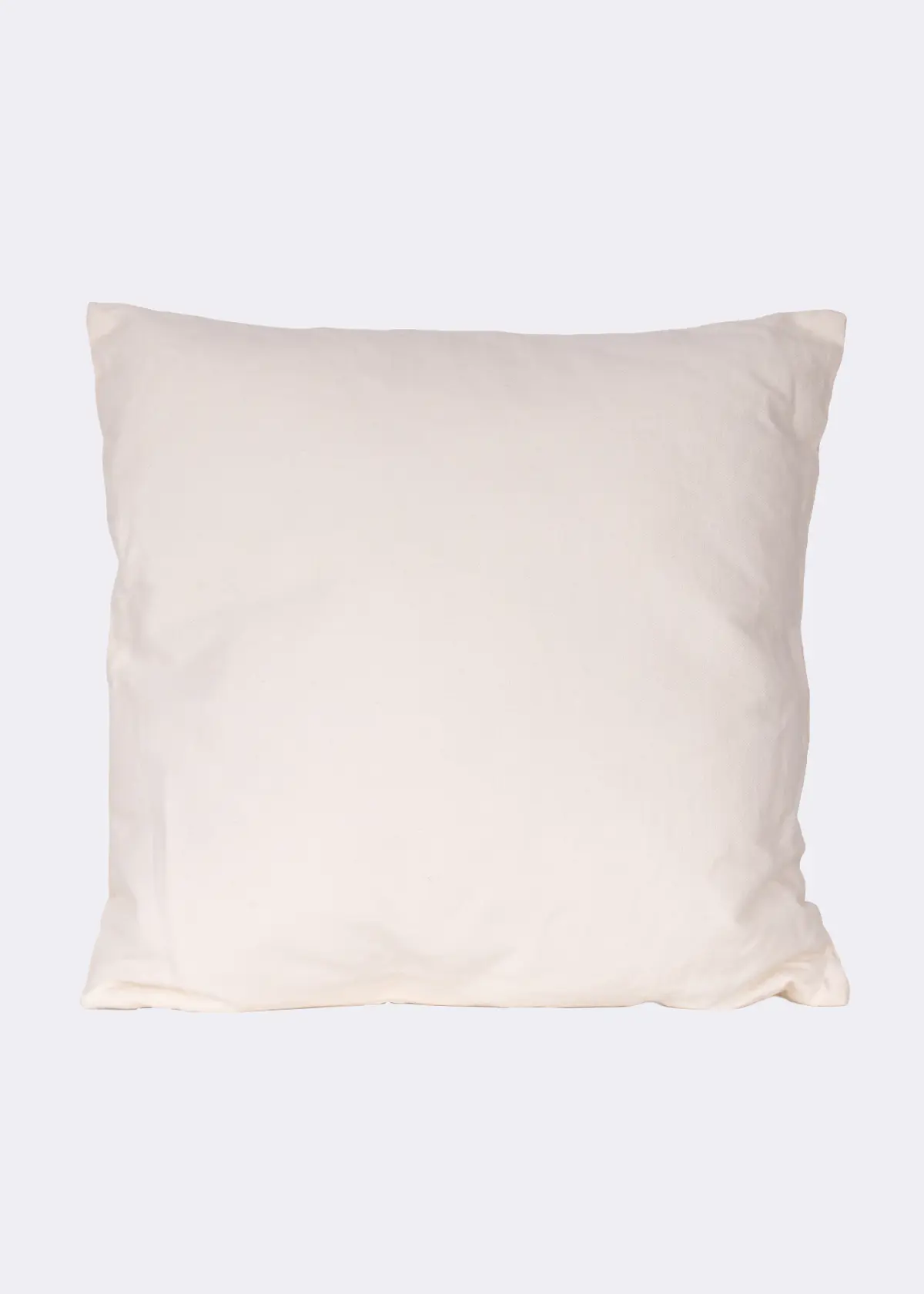 A photo of Emboirdered Pumpkin Cushion 45x45cm Natural