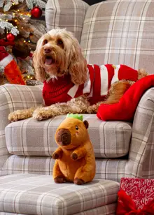 Corby Capybara Plush Dog Toy