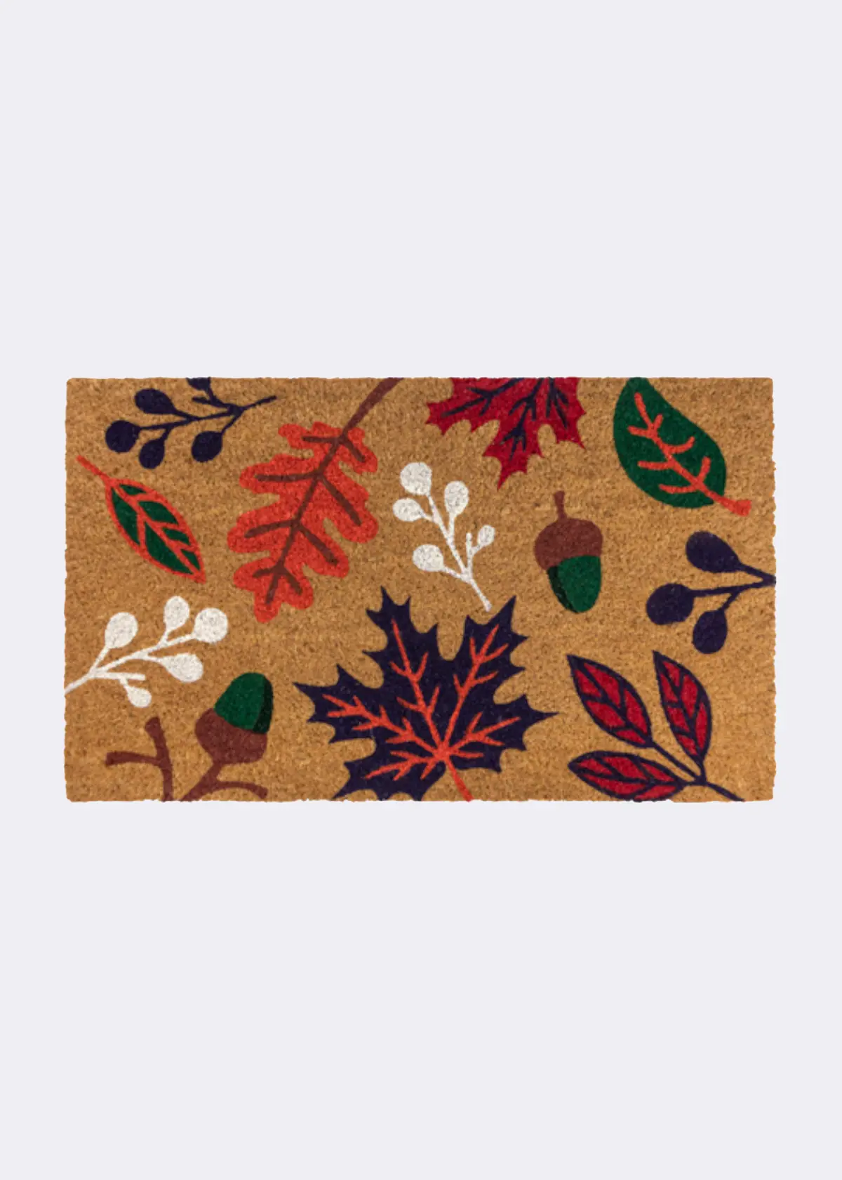 A photo of Autumn Leaf Coir Doormat 45x75cm