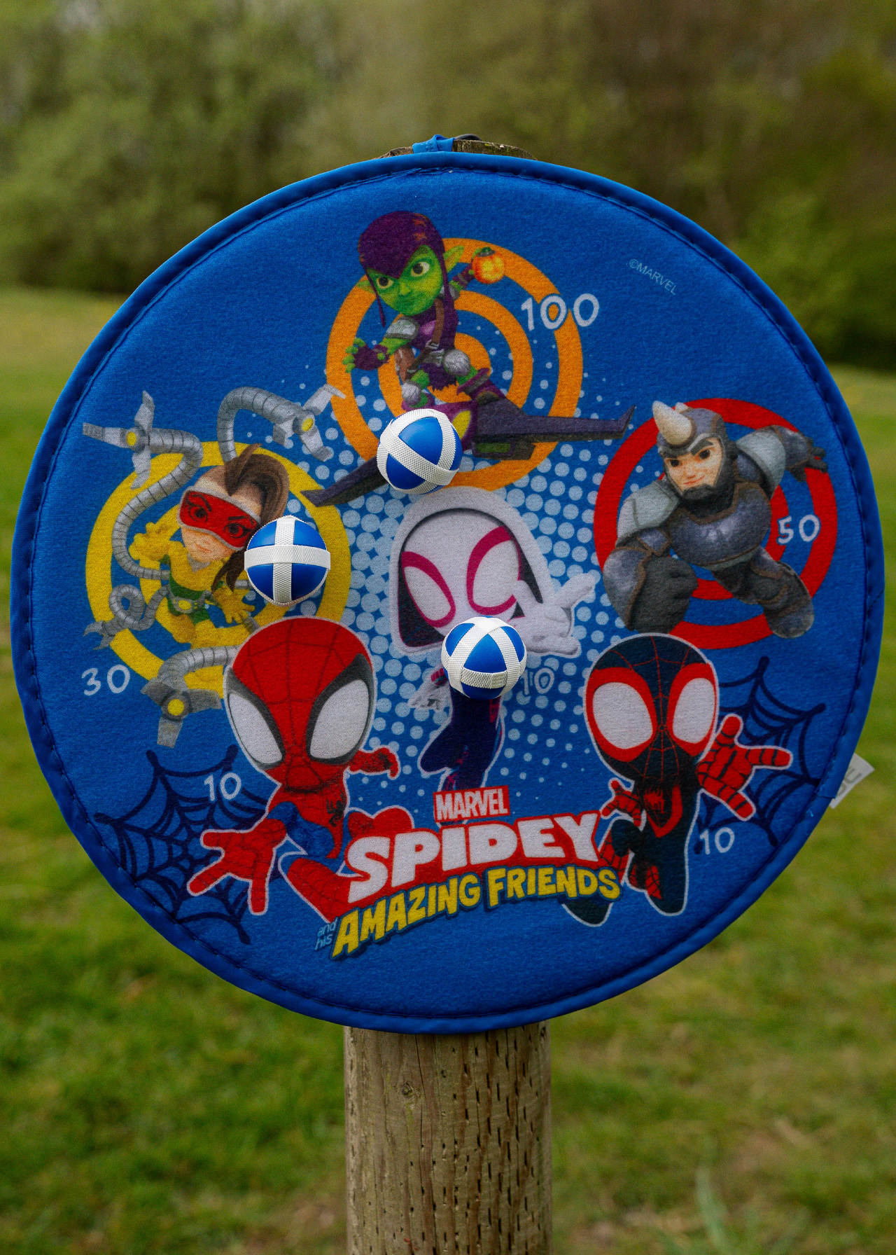 Spidey & His Amazing Friends 4-in-1 Garden Games
