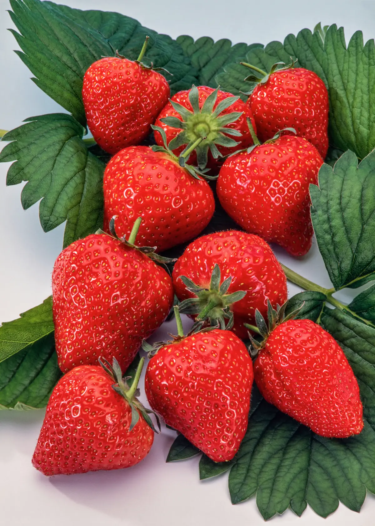 A photo of Strawberry Elsanta 5 Pack