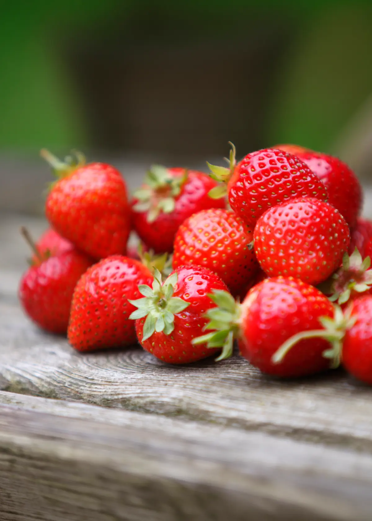A photo of Strawberry Hapil 5 Pack