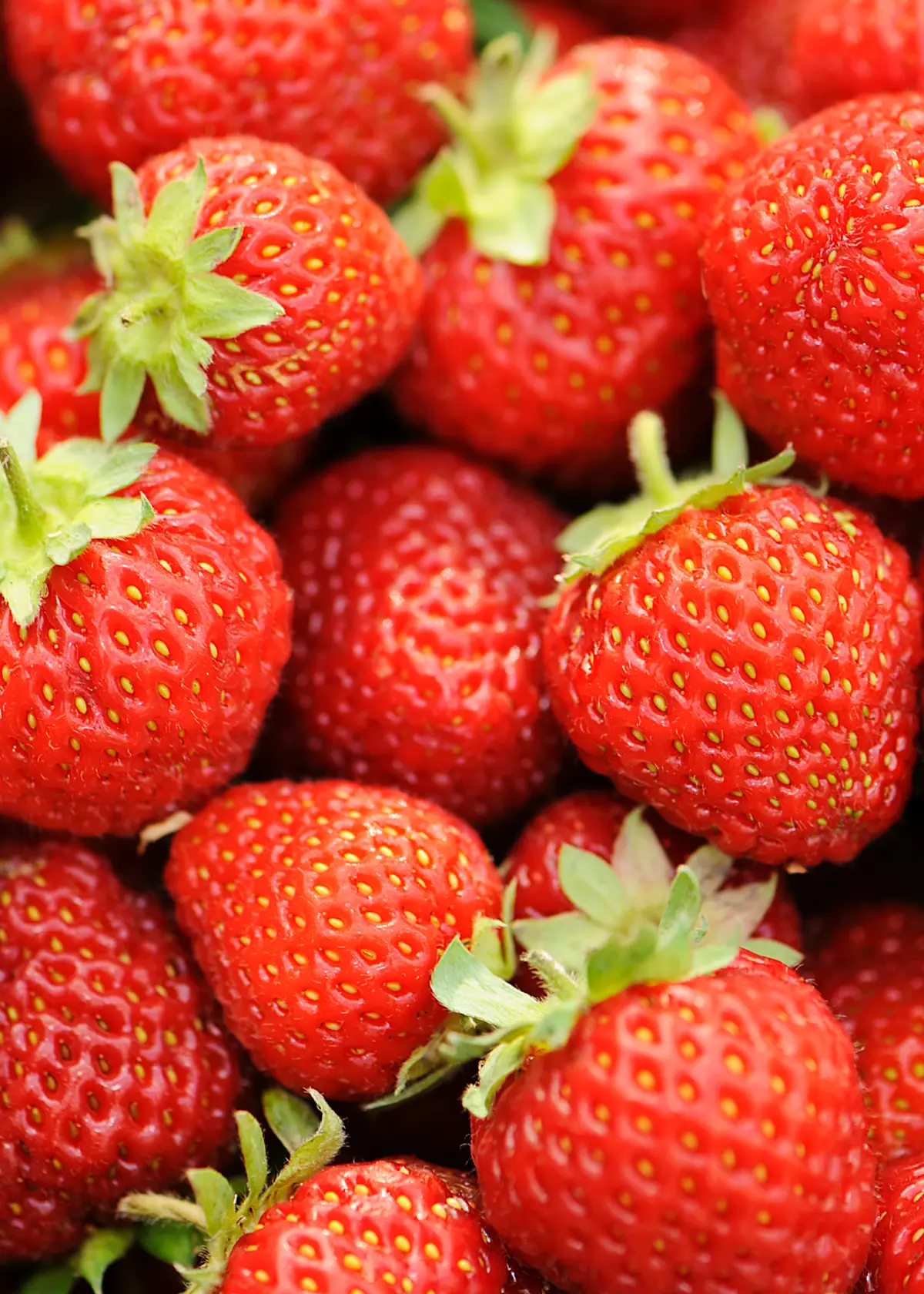 A photo of Strawberry Honeoye 5 Pack