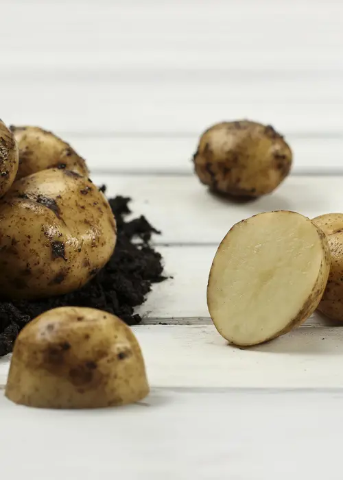 A photo of Seed Potato Foremost 2kg
