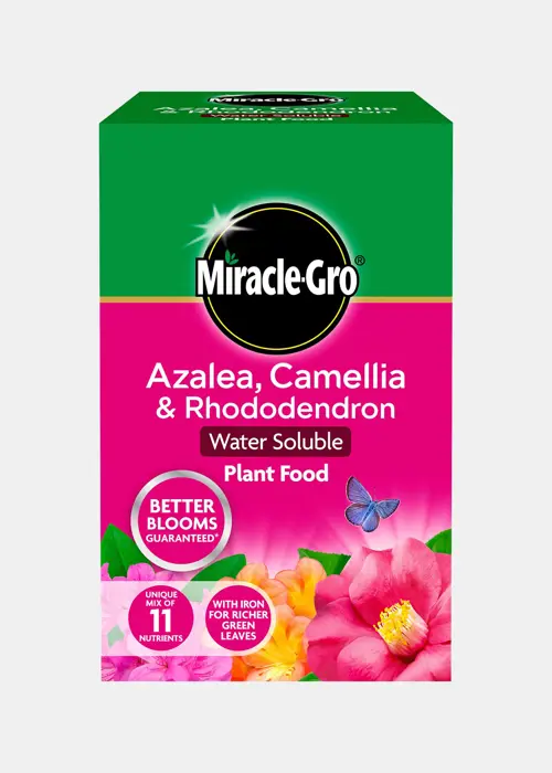A photo of Miracle-Gro Ericaceous Soluble Plant Food 500g